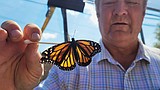 Butterfly Haven enchants at North Idaho State Fair