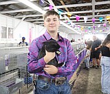 4-H youth glow with pride at state fair