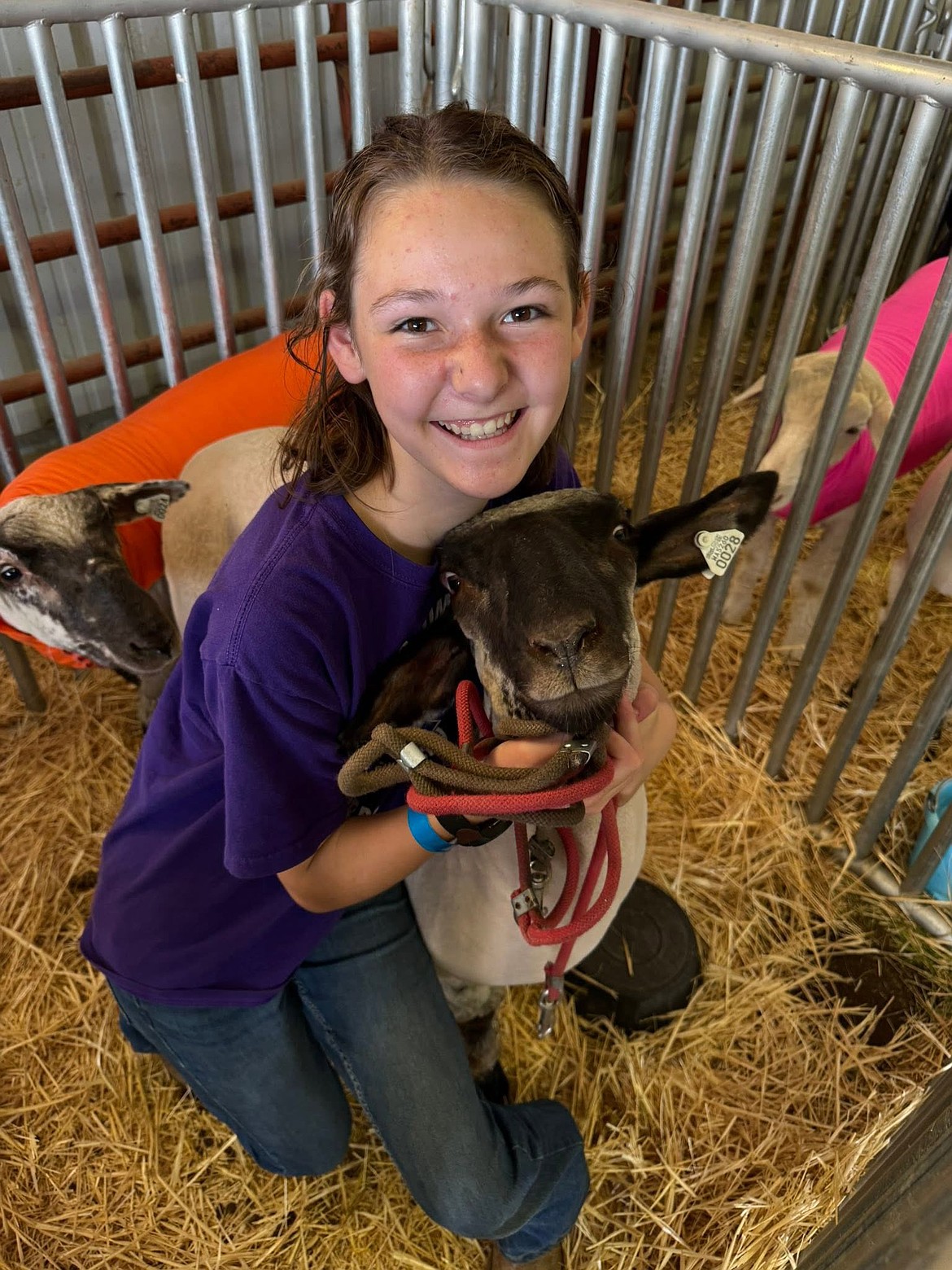 Youth livestock exhibitors are one of the most important parts of the Wheat Land Communities’ Fair.