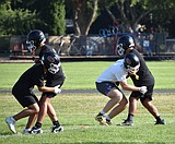 Tigers head into 2026 recharged and ready to compete
