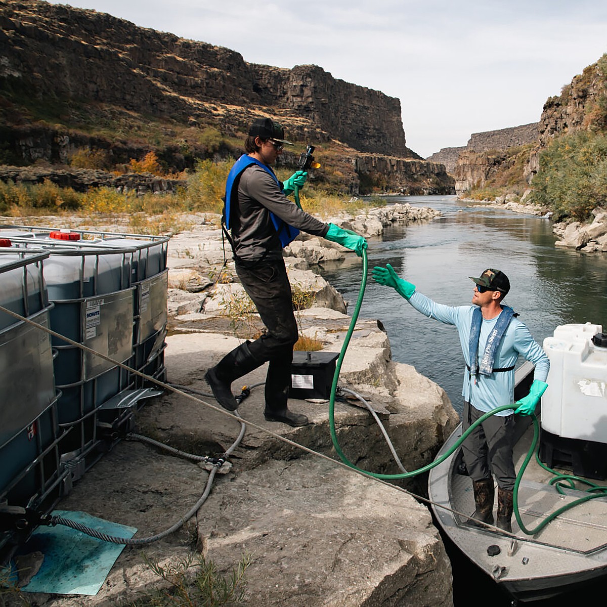 Quagga mussels detected again in Idaho