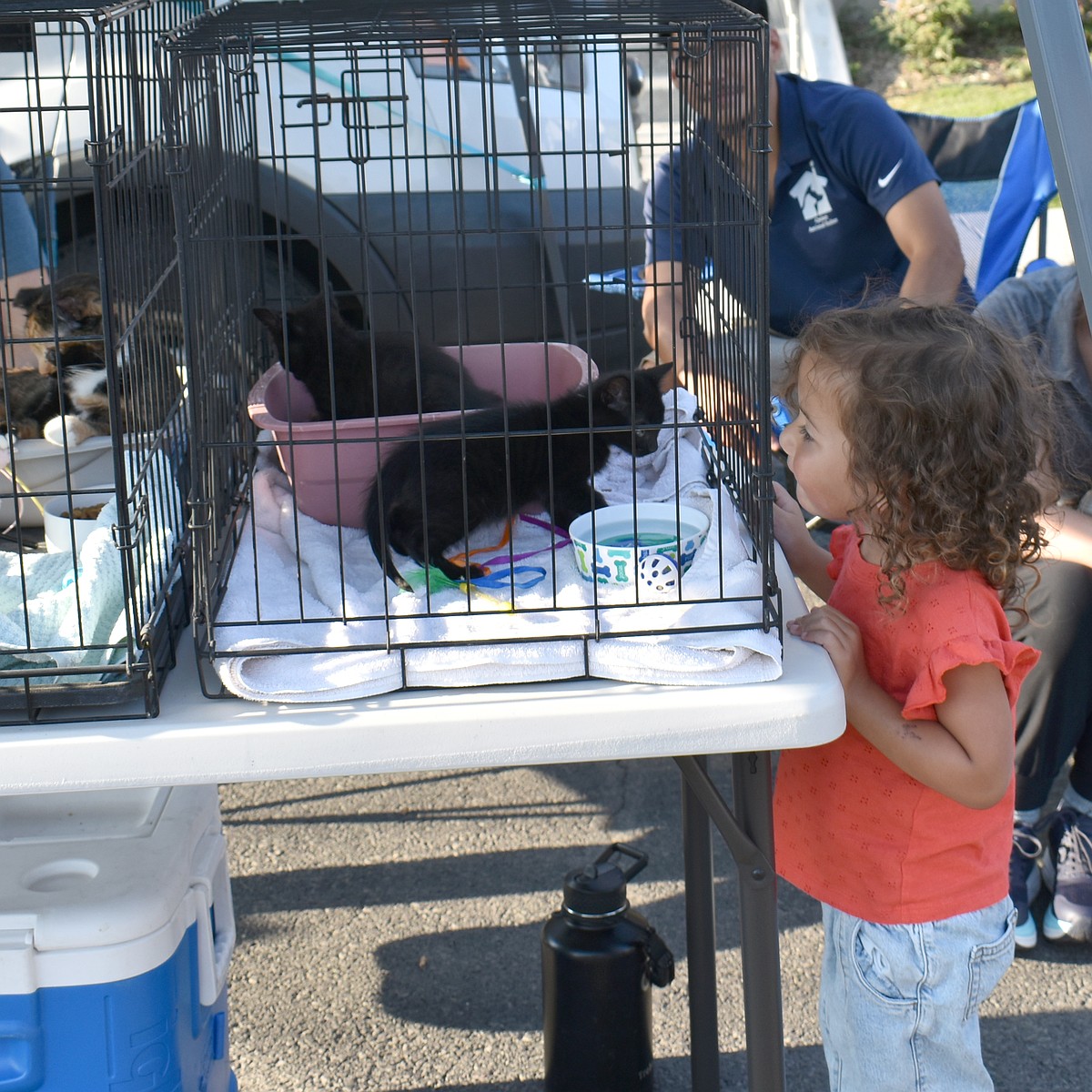 Quincy National Night Out scales down
