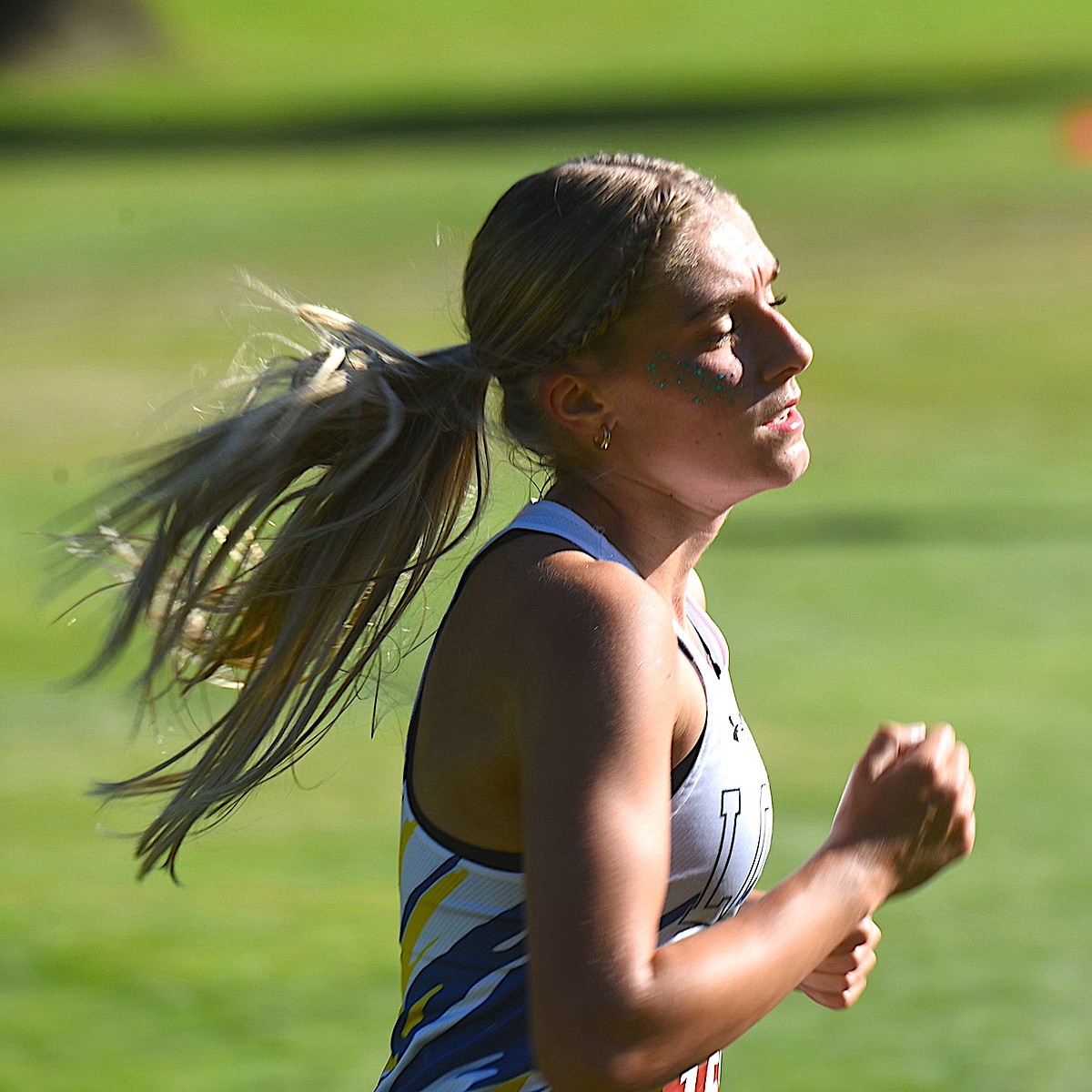Farmer, Watson lead Logger harriers at Libby Invitational