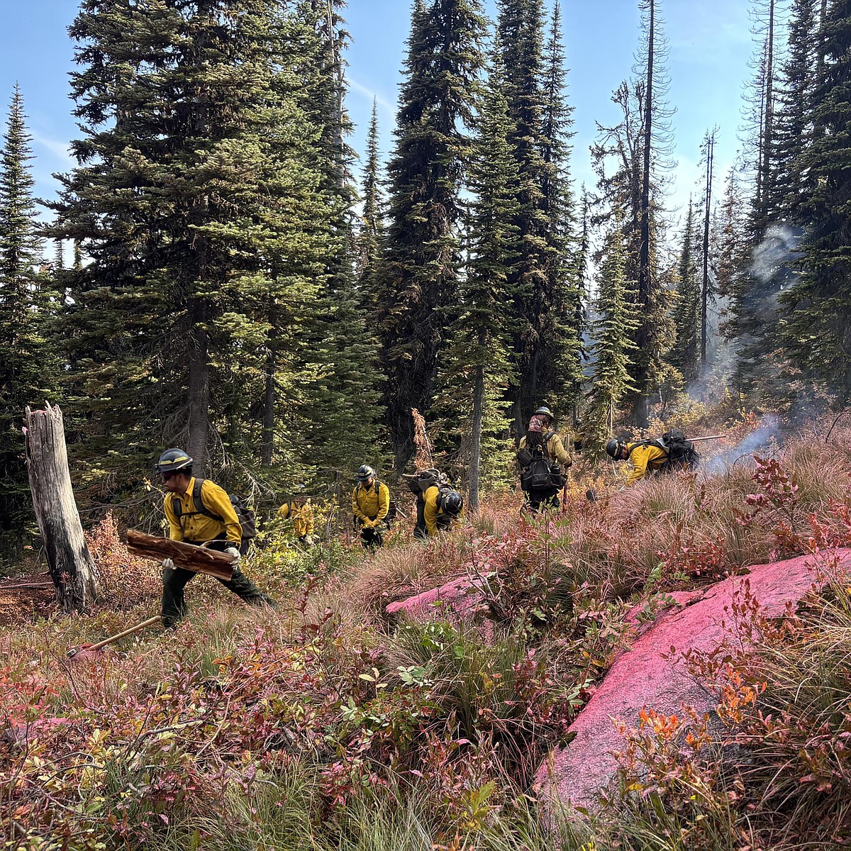 Area wildfire activity remains active