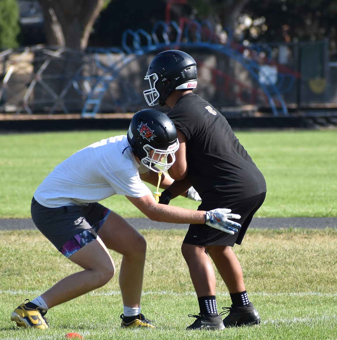 In addition to being ranked fifth in the Central Washington Athletic Conferences preseason coaches poll, the Ephrata Tigers also earned a first place vote.