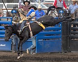 Riding high at the rodeo