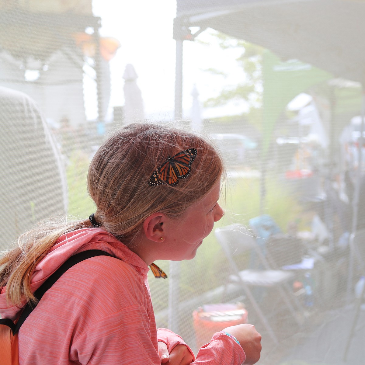 Sandpoint embraces its monarch moment at festival