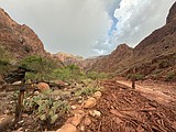 Dozens evacuated from Grand Canyon after flash flood hits creek leading to the Colorado River