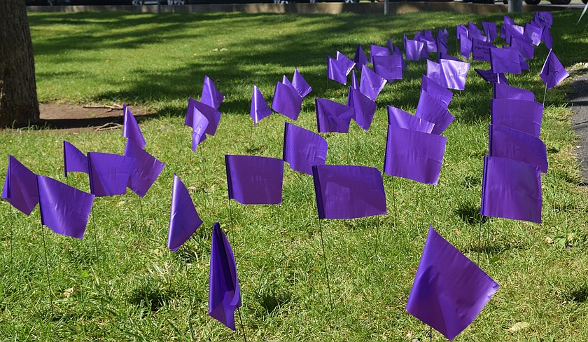 Purple and white flags decorated McCosh Park Saturday during the National Overdose Awareness Day event. The purple flags represent lives saved by naloxone and white flags are to remember those who died due to an overdose.