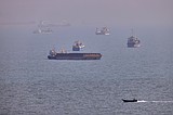 United Arab Emirates intercepts an Iranian drone, and other news from the Middle East