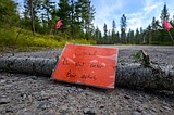 Grizzly sow with cub had dead whitetail cached nearby when attack occurred