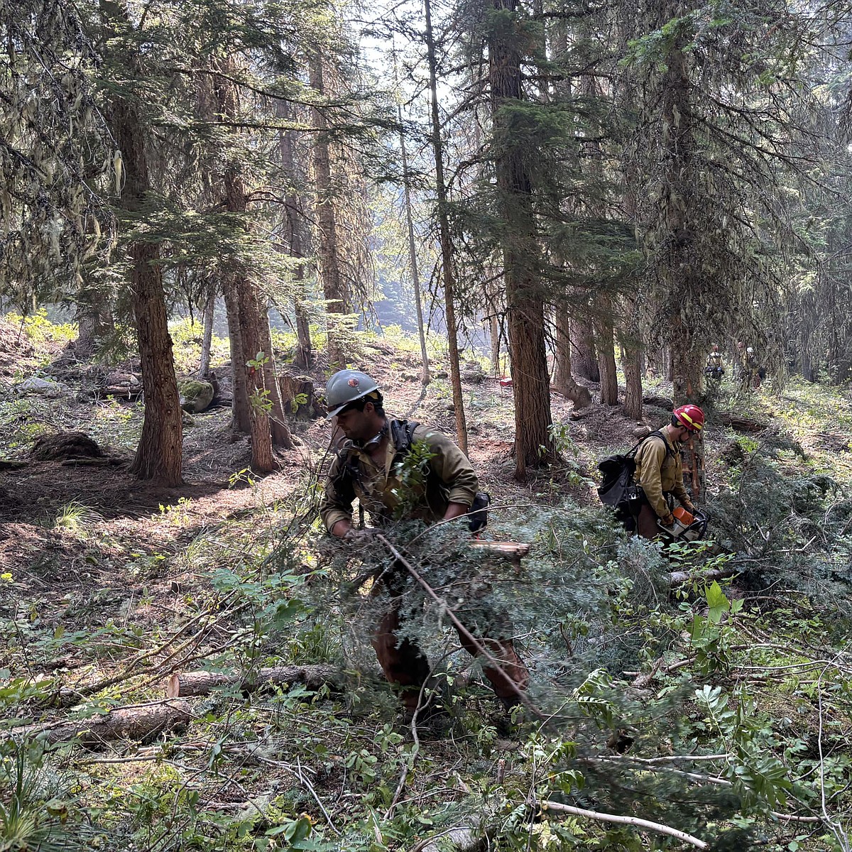 Rain, lower temps dampen wildfire activity