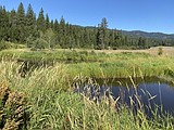 Conservation deal protects Lake Creek, 700 acres of forest