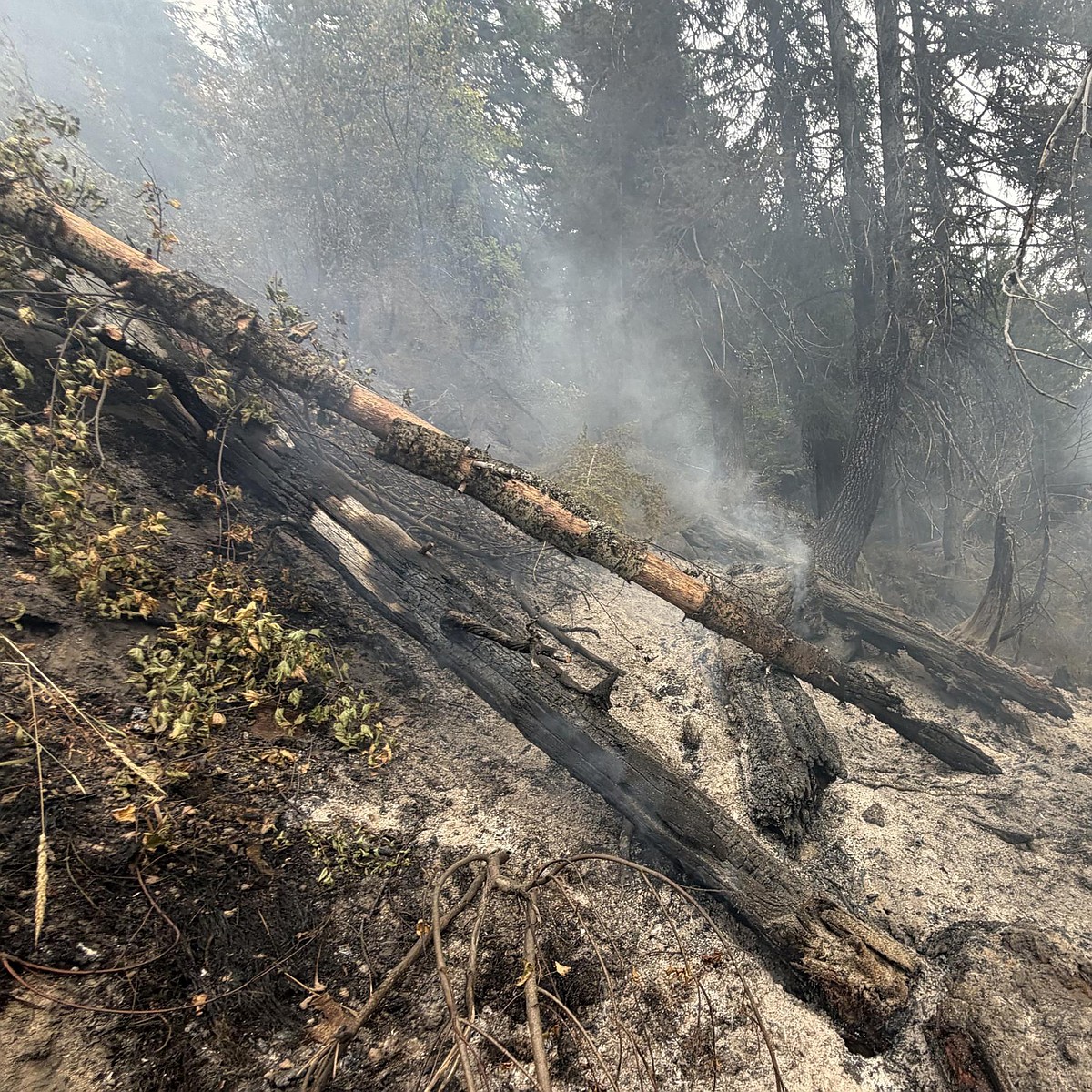 Rains help firefighting efforts