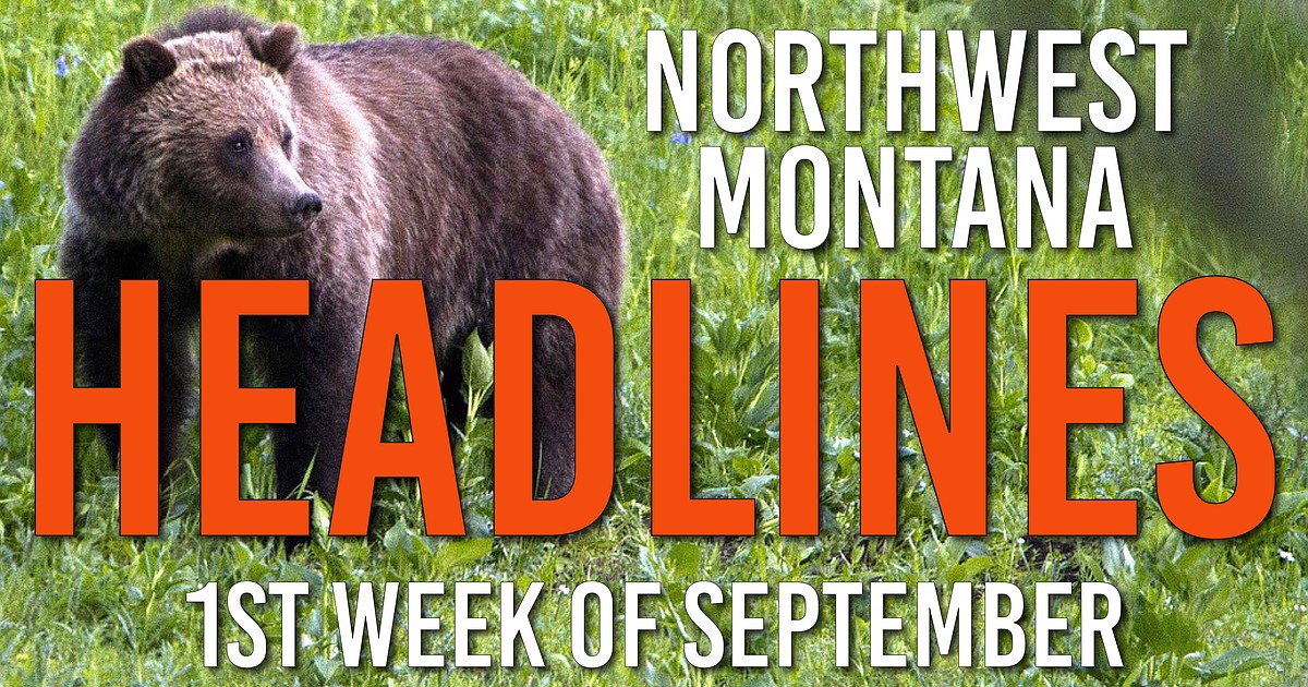 Headlines: Bear attack closes Columbia Falls trail, wildfire determined human-caused, Kalispell debates license plate...