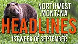 Headlines: Bear attack closes Columbia Falls trail, wildfire determined human-caused, Kalispell debates license plate readers