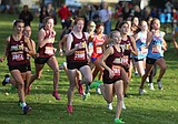 Mavericks cross country heading to Hawaii