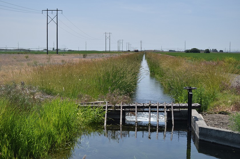 The Grant County Sheriff's Office is asking for help in finding a missing man who may have drowned in an irrigation canal near Soap Lake Saturday.