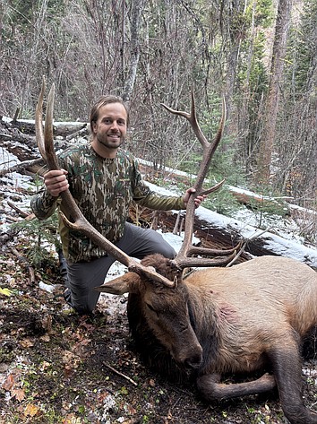 Biologists are optimistic that this could be a higher-than-average year for elk hunting.