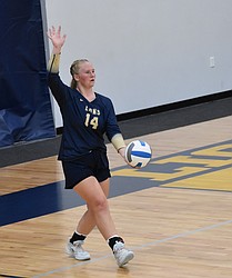 Abby Stanley from the Lions prepares to serve during Tuesday’s home game against the Devils.