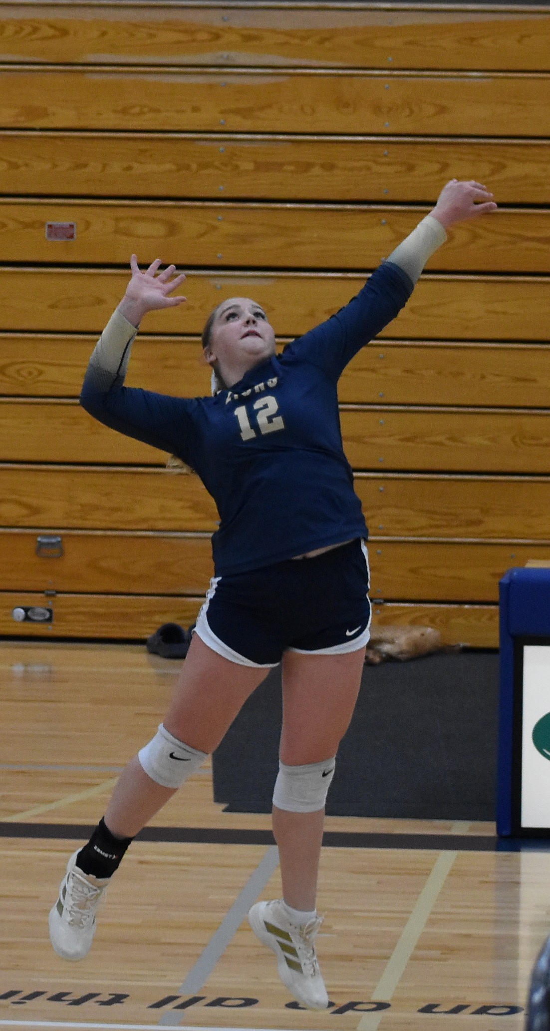Lions player Ava Bishop leaps up to go for the kill against the Devils Tuesday evening in the home opener.