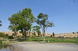 Kennewick man arrested in Connelly Park boat motor theft