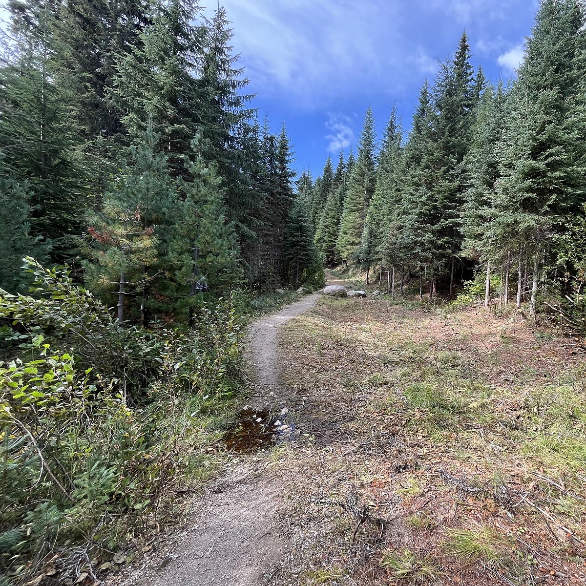 Trails reopen as weather cools fires