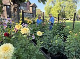 Timeless petals: Garden cultivates flowers with longtime connection to Flathead Valley
