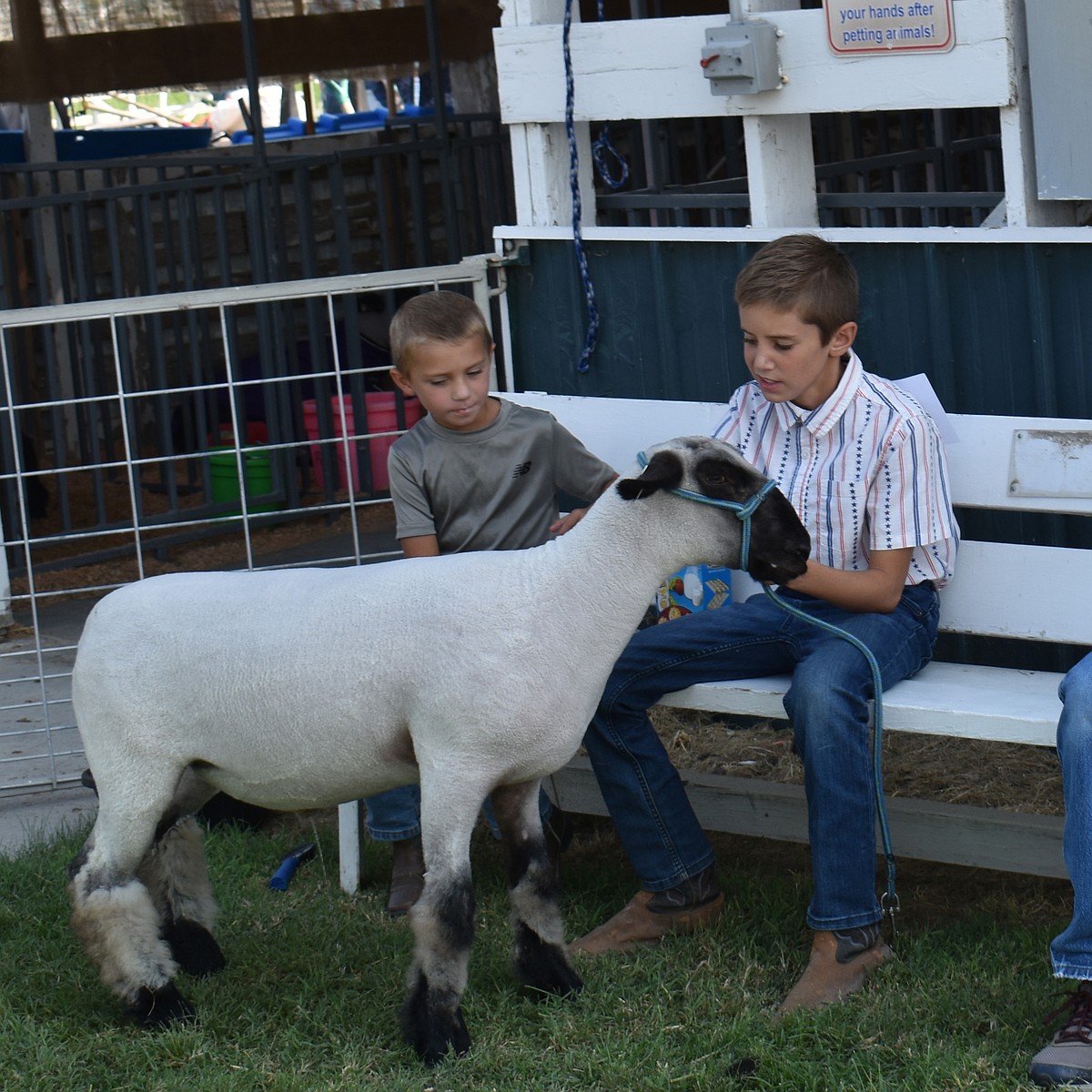 Othello Fair, Othello Rodeo and Demolition Derby set for this week
