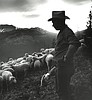 Albert John Treiber