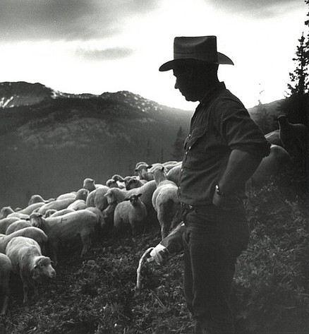 Albert John Treiber, 97, passed away peacefully at his home on Sheep Canyon Road on July 23, 2026.
