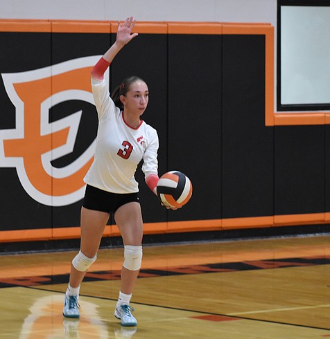 Huskies volleyball bests Tigers in three