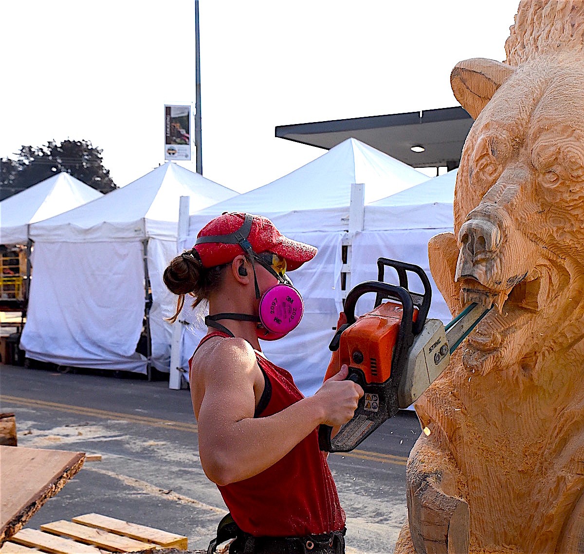 Kootenai Country Montana International Chainsaw Carving