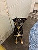 Meet Maggie May