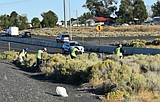 Rotarians step up to clean highway