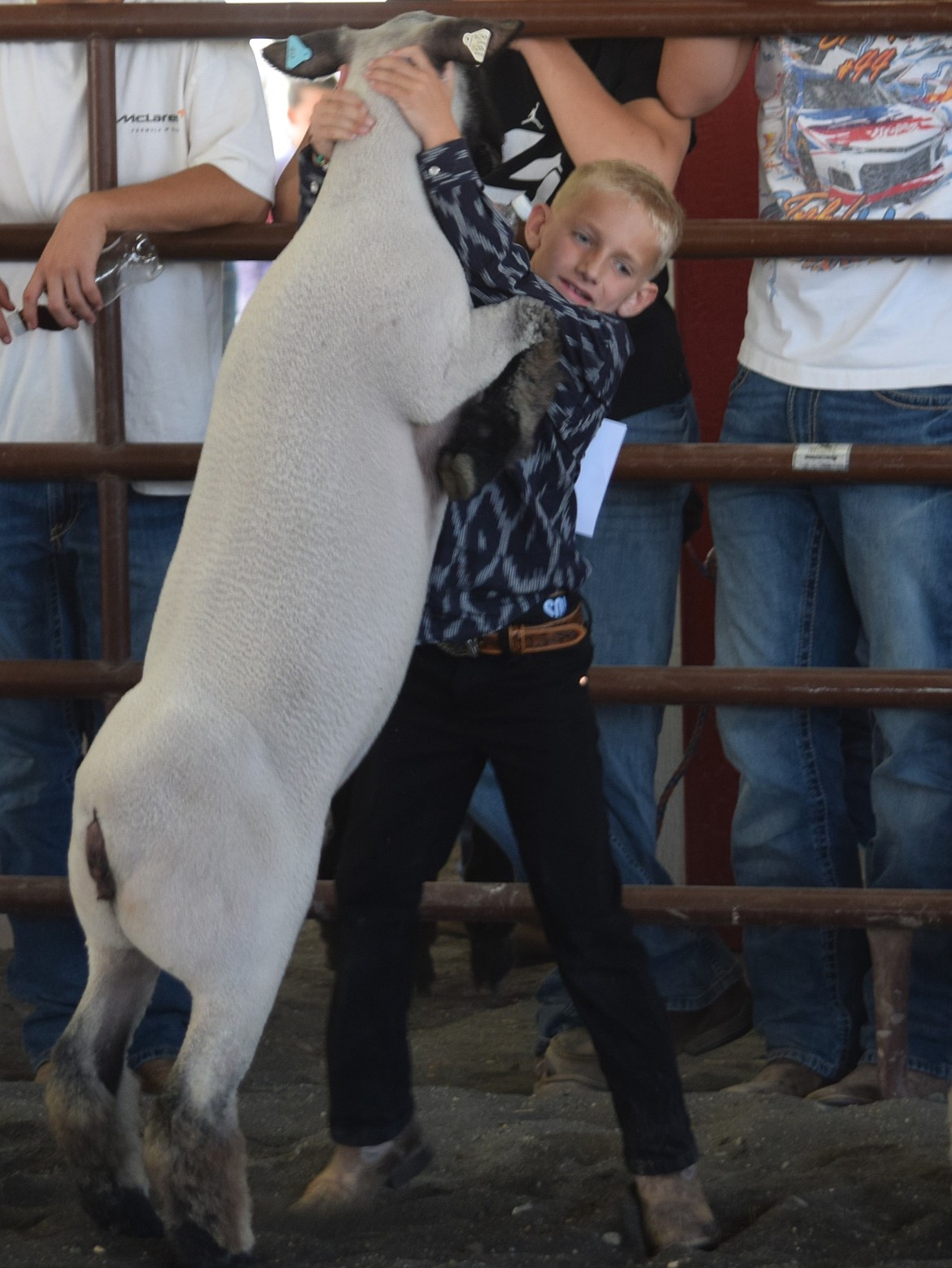 Barron Anderson works to keep his sheep under control during junior showing Thursday at the Othello Fair. The judge joked that junior competitors were judged largely on