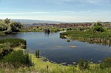 WDFW seeks public input on proposed Babcock Bench camping closure
