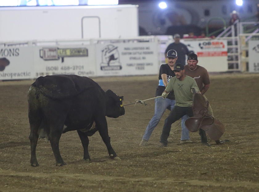 A team competing in the ‘Wild Cow’ competition sits in a standoff with their foe as they strategize how to saddle and mount the wild cow at the Othello rodeo.