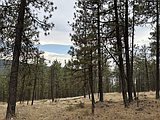 Local hiking expert reveals hidden gems