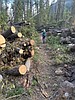 Volunteer organizations were busy on trails this summer