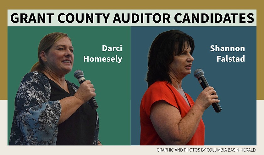 What would auditor candidates change to better serve residents?