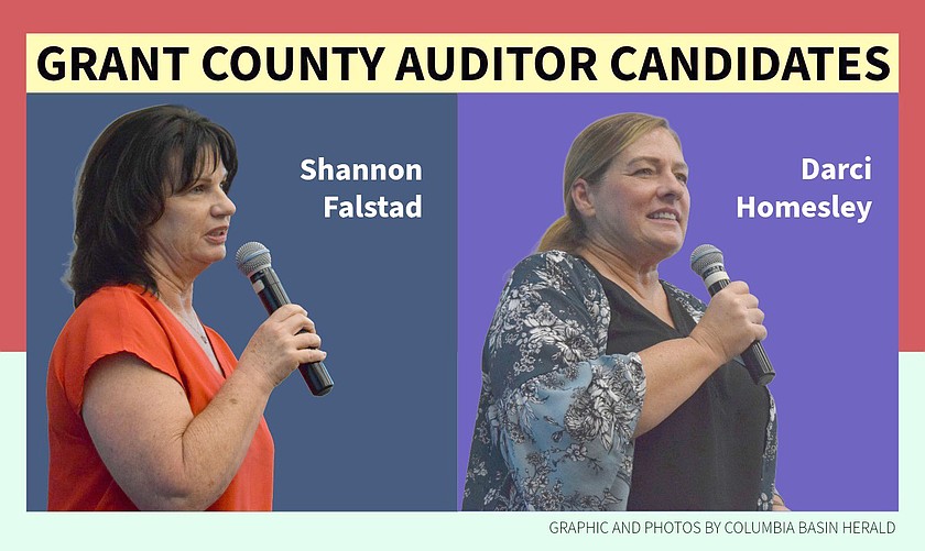 Falstad, Homesley outline approaches to election security, public trust