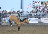 Pro rodeo standings for September 2026