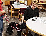 Four-legged friends bring comfort to NIC students