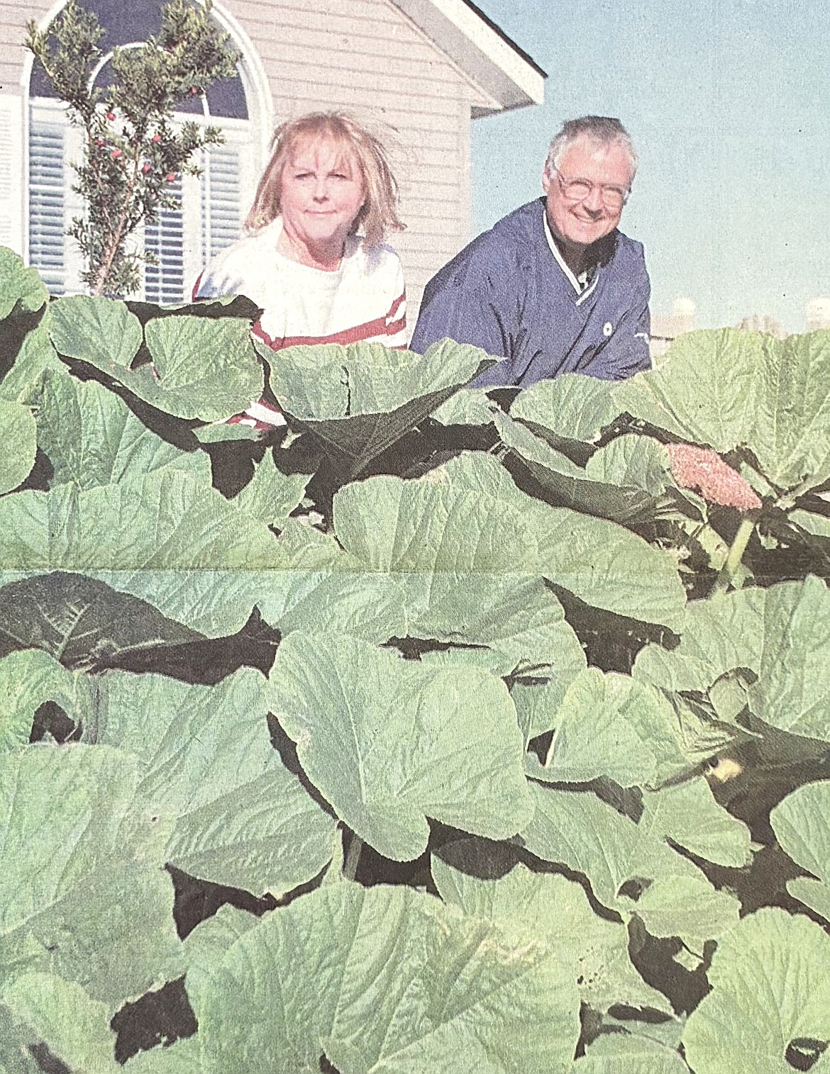 In 2001, Bob and Lee Ray introduced their new Post Falls neighbors to their “Mystery Plant.”