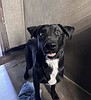 Meet Avery