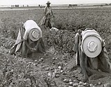 Guest workers and beyond: The Bracero Program