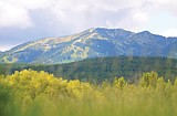 Whitefish wildfire protection plan up for City Council review