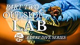 Deep Dive: Outdoor Lab part two, bats and white-nose syndrome in Glacier