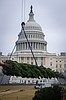 Nation's Christmas Tree is home grown